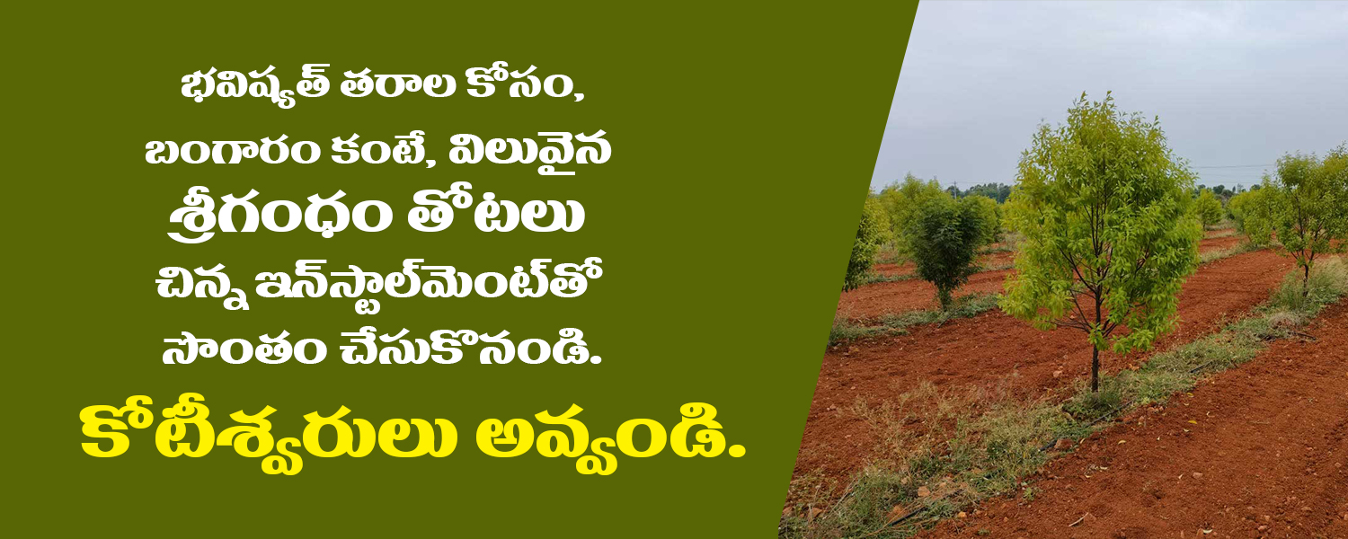 beulahestates beulahestates